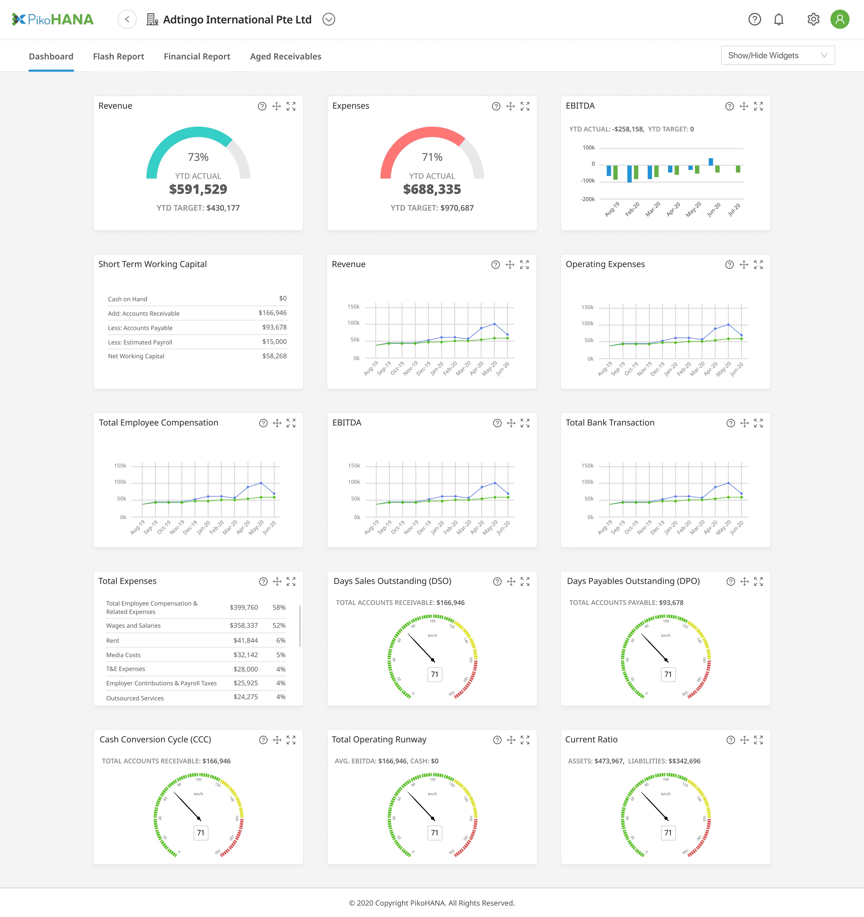 PikoHANA AO dashboard showing revenue, EBITDA and ratios